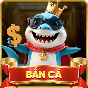 Hỗ trợ qua Zalo và Telegram